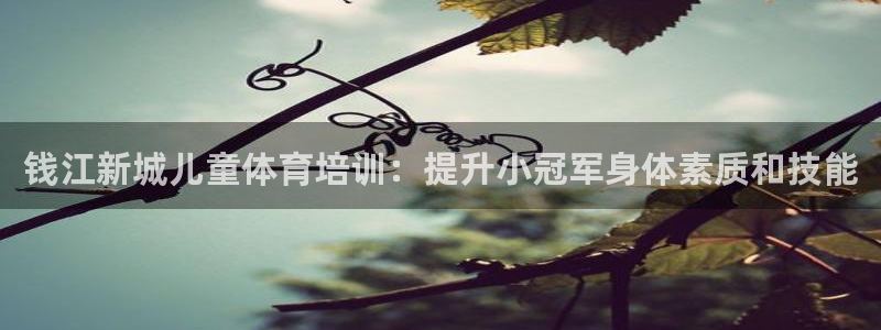 欧陆娱乐有限公司