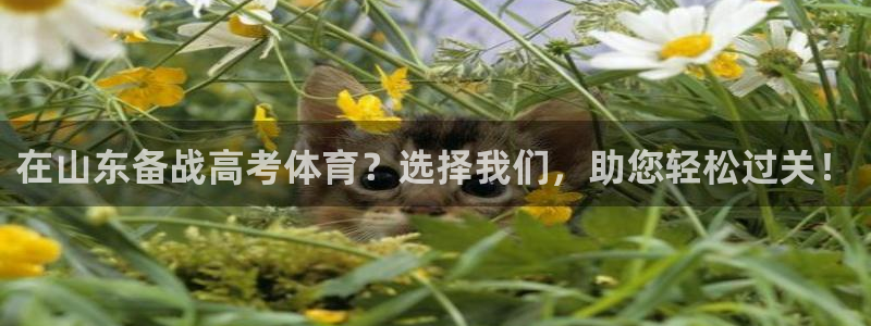 欧陆娱乐代理 贴吧官网