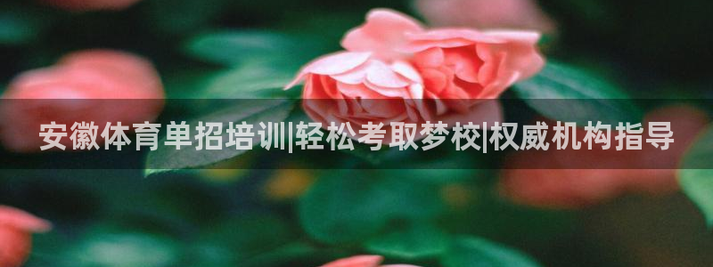 欧陆娱乐的故事：安徽体育单招培训|轻松考取梦校|权威