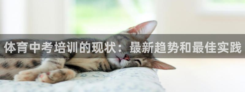 欧陆娱乐平台登录不上去