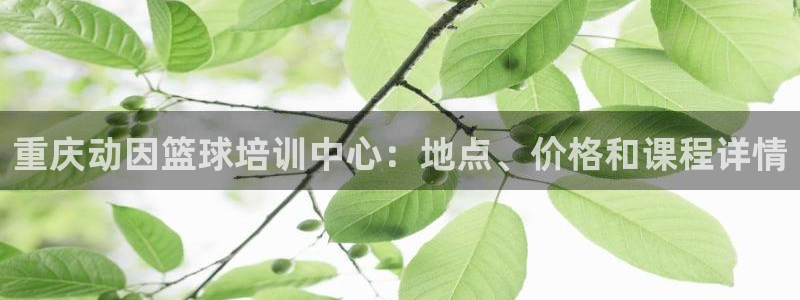 欧陆娱乐app攻略大全：重庆动因篮球培训中心：地点、