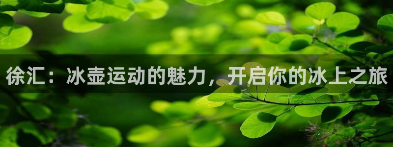 欧陆娱乐测速软件下载：徐汇：冰壶运动的魅力，开启你的