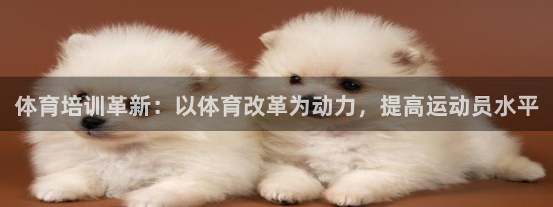 欧陆娱乐代理多少个点位啊：体育培训革新：以体育改革为
