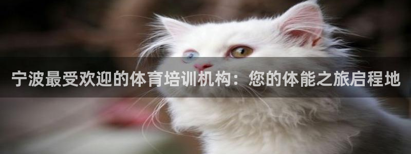 欧陆娱乐安全?：宁波最受欢迎的体育培训机构：您的体能