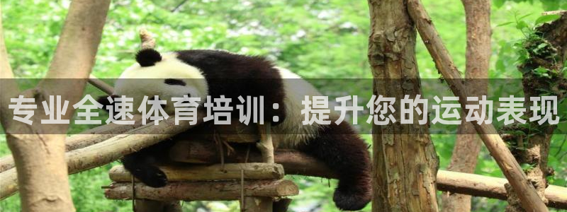 欧陆娱乐登陆官网