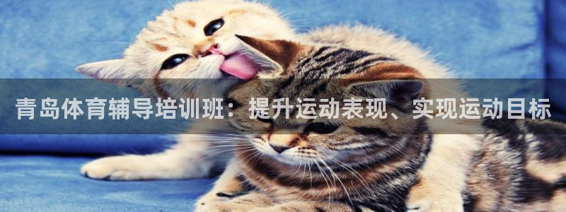 欧陆娱乐合法吗：青岛体育辅导培训班：提升运动表现、实