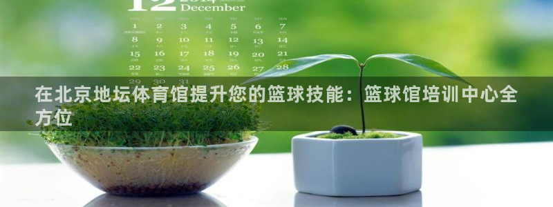 欧陆娱乐微信：在北京地坛体育馆提升您的篮球技能：篮球