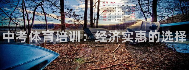 欧陆娱乐百科官网：中考体育培训：经济实惠的选择