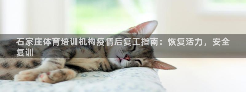 欧陆娱乐游戏特色：石家庄体育培训机构疫情后复工指南：