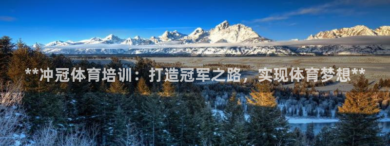 欧陆娱乐共创美好时刻：**冲冠体育培训：打造冠军之路
