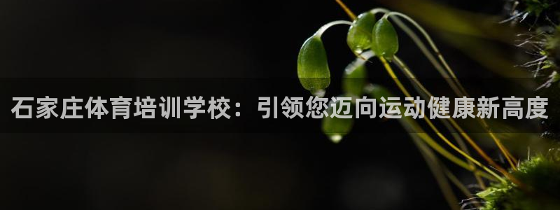 欧陆娱乐官网下载安装最新版：石家庄体育培训学校：引领
