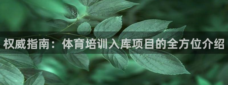欧陆平台：权威指南：体育培训入库项目的全方位介绍