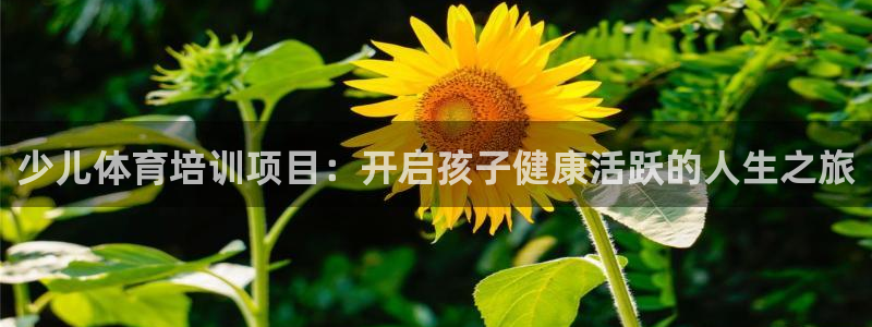 欧陆娱乐登录注册平台下载：少儿体育培训项目：开启孩子