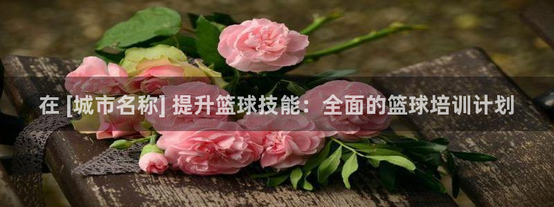 欧陆娱乐线路测速