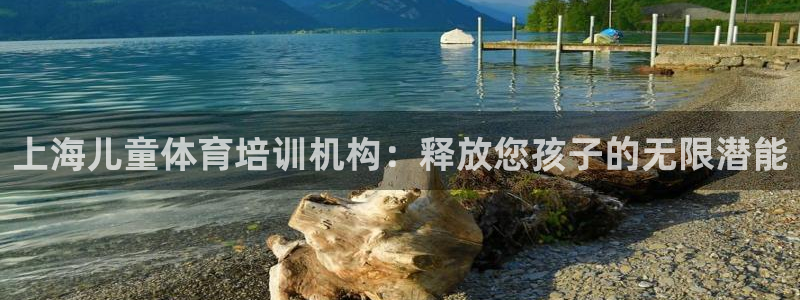 欧陆娱乐游戏：上海儿童体育培训机构：释放您孩子的无限
