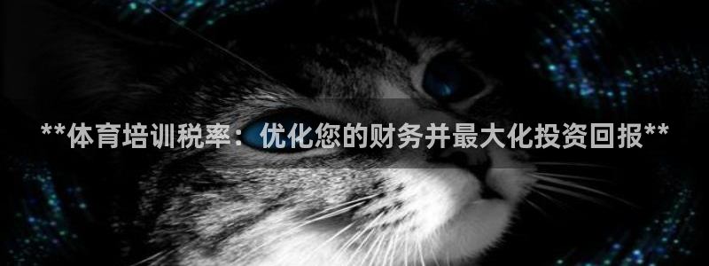 欧陆娱乐注册平台：**体育培训税率：优化您的财务并最