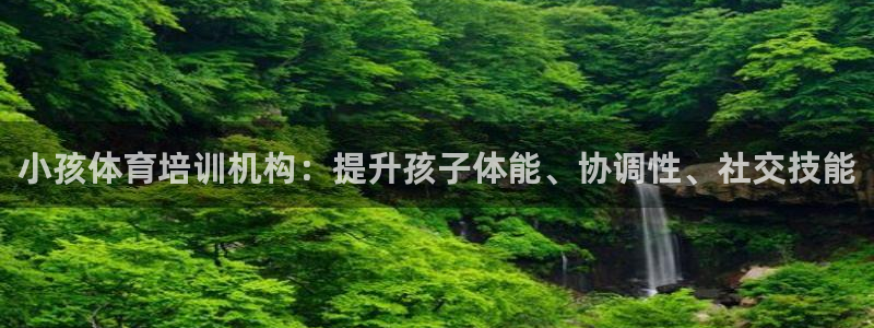 欧陆娱乐挂机项目：小孩体育培训机构：提升孩子体能、协