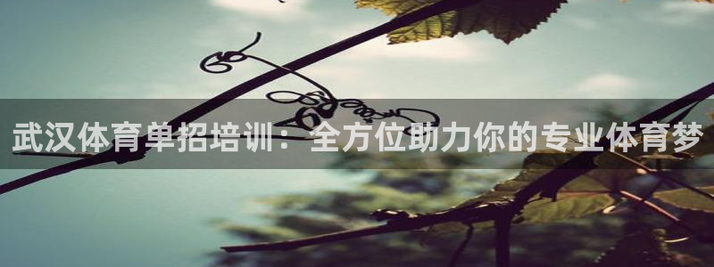 欧陆娱乐群里怎么进：武汉体育单招培训：全方位助力你的