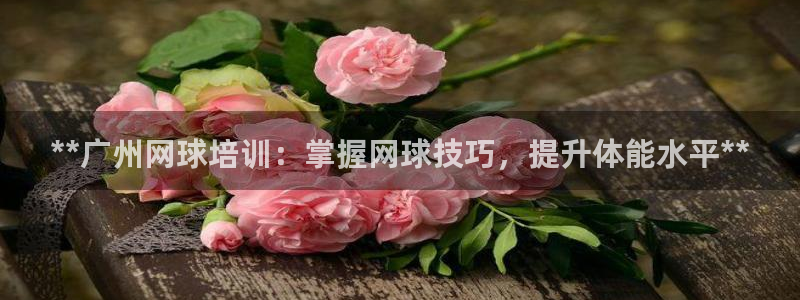 欧陆娱乐访问：**广州网球培训：掌握网球技巧，提升体