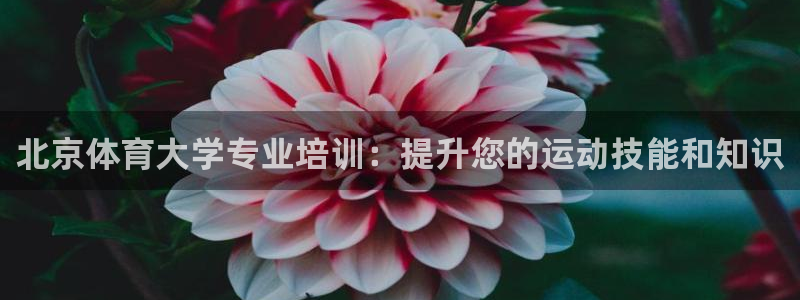 欧陆是什么平台：北京体育大学专业培训：提升您的运动技