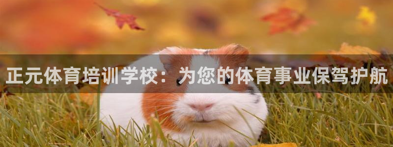 欧陆娱乐怎么注册会员号：正元体育培训学校：为您的体育