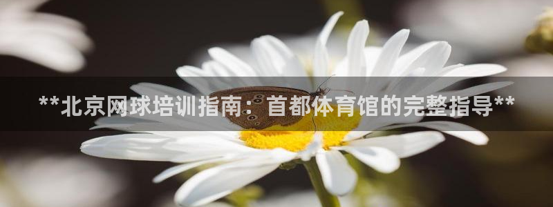 欧陆娱乐怎么注册会员：**北京网球培训指南：首都体育