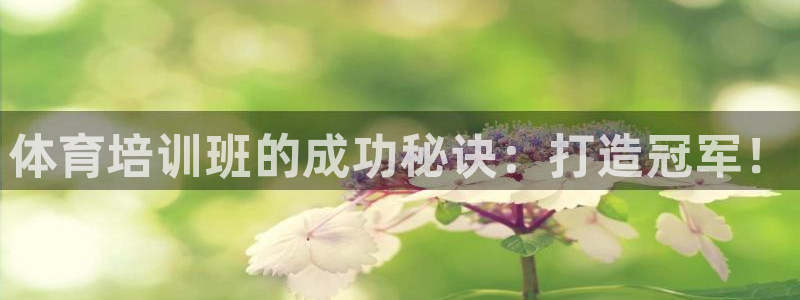 欧陆娱乐平台咋样赚钱：体育培训班的成功秘诀：打造冠军