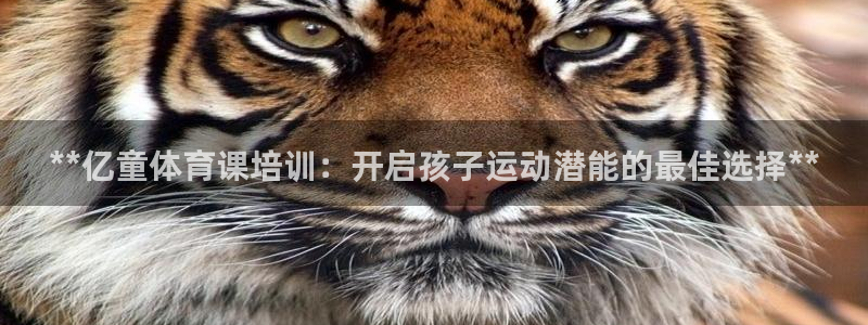 欧陆娱乐能赚钱吗：**亿童体育课培训：开启孩子运动潜