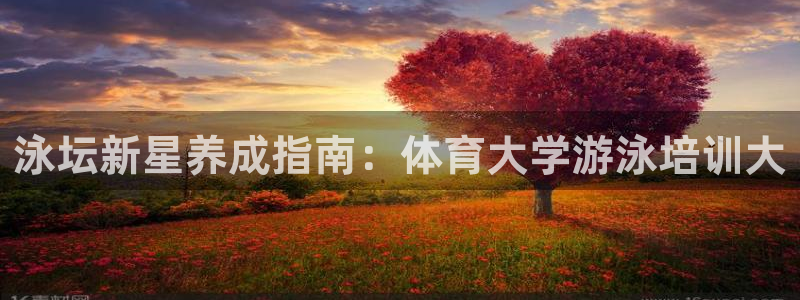 欧陆娱乐平台登录不上怎么办：泳坛新星养成指南：体育大