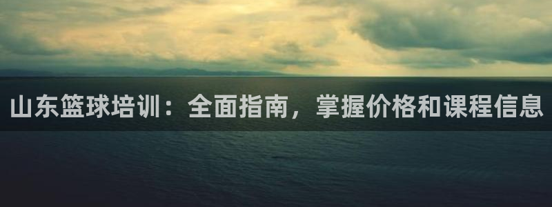 欧陆娱乐代理 贴吧：山东篮球培训：全面指南，掌握价格