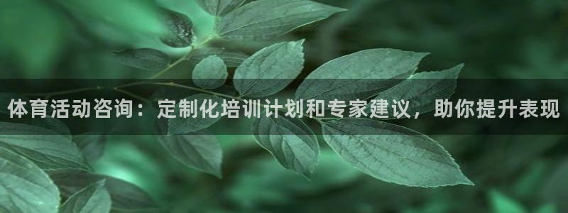 欧陆娱乐平台登录：体育活动咨询：定制化培训计划和专家