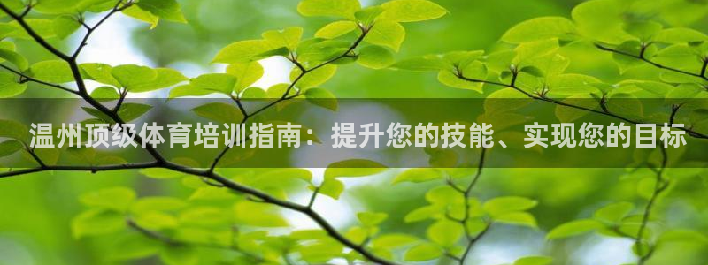 欧陆娱乐安全?： 温州顶级体育培训指南：提升您的技能