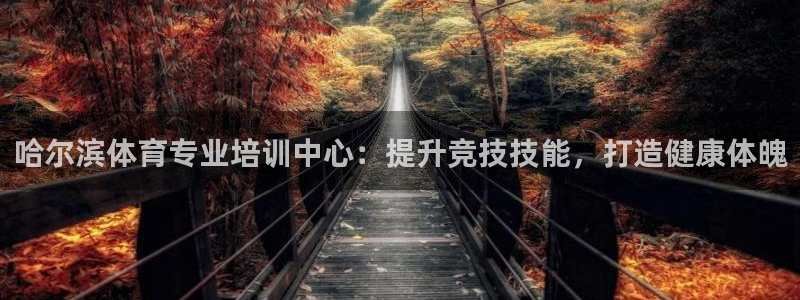 欧陆娱乐官网：哈尔滨体育专业培训中心：提升竞技技能，
