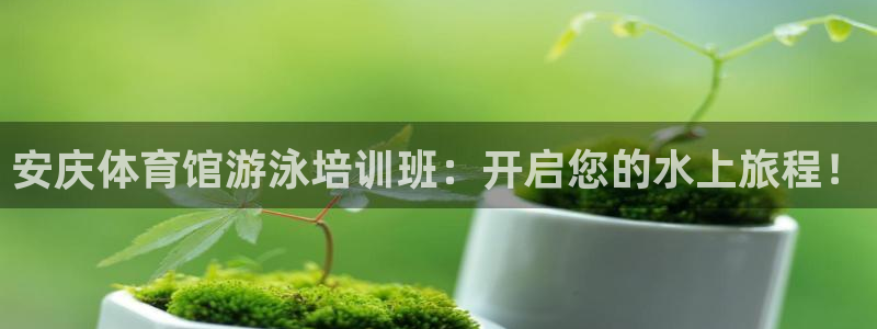 欧陆娱乐能不能玩手游：安庆体育馆游泳培训班：开启您的