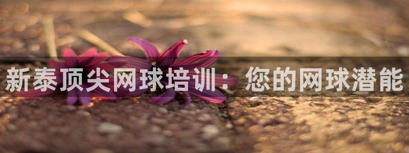 欧陆娱乐官网注册中心下载：新泰顶尖网球培训：您的网球