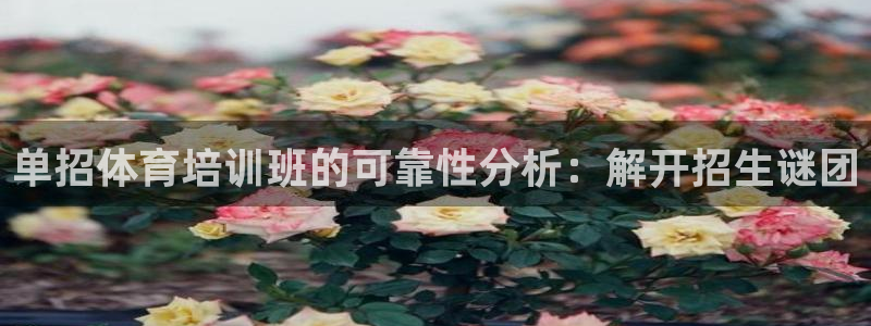 欧陆娱乐app攻略大全：单招体育培训班的可靠性分析：