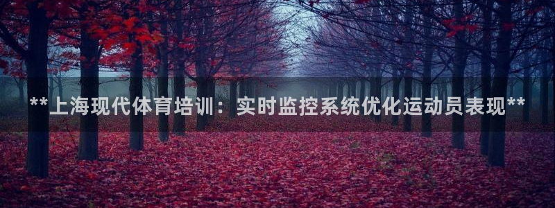 欧陆娱乐代理 贴吧官网：**上海现代体育培训：实时监