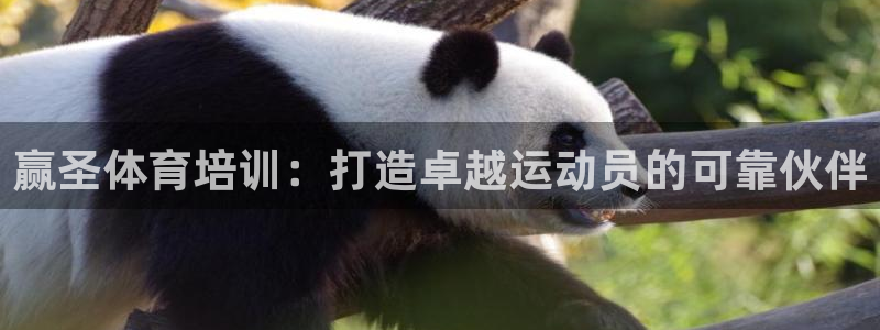 欧陆娱乐招商主管：赢圣体育培训：打造卓越运动员的可靠