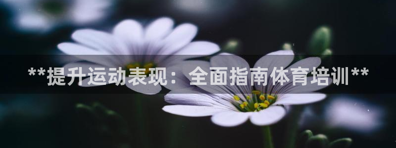 欧陆娱乐：**提升运动表现：全面指南体育培训**