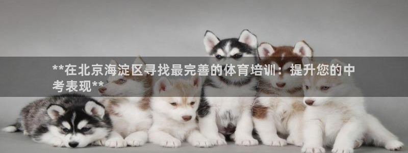 欧陆娱乐官网入口：**在北京海淀区寻找最完善的体育培