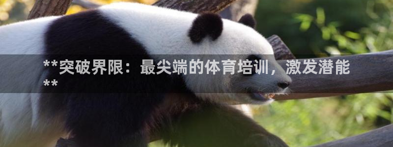 欧陆论坛：**突破界限：最尖端的体育培训，激发潜能

