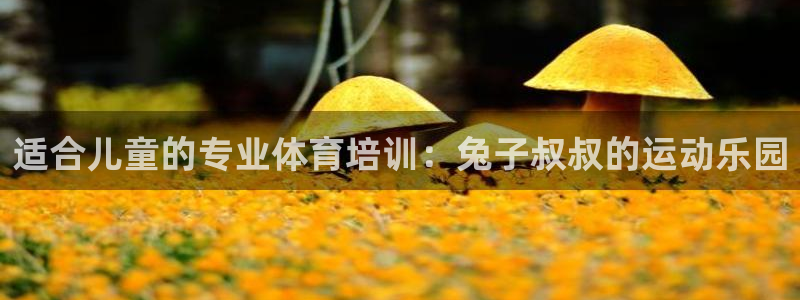 欧陆娱乐平台咋样啊赚钱：适合儿童的专业体育培训：兔子
