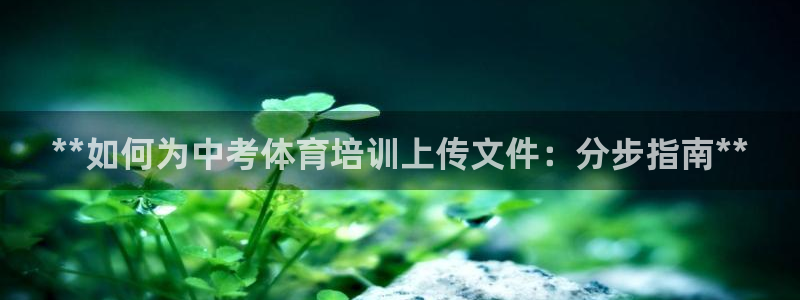 欧陆娱乐平台登陆地址是什么：**如何为中考体育培训上