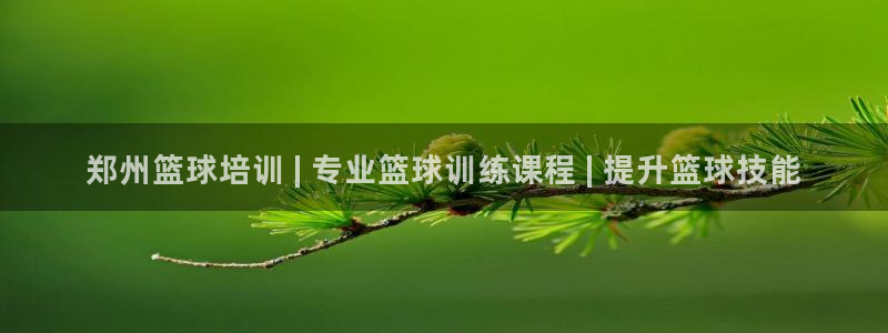 欧陆娱乐官方网站下载：郑州篮球培训 | 专业篮球训练