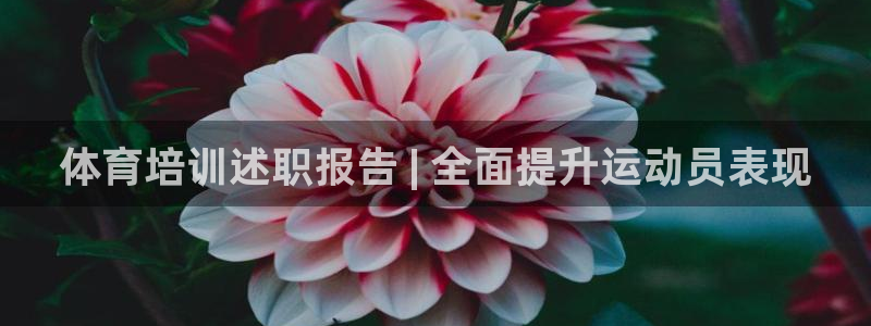 欧陆娱乐测速软件下载：体育培训述职报告 | 全面提升