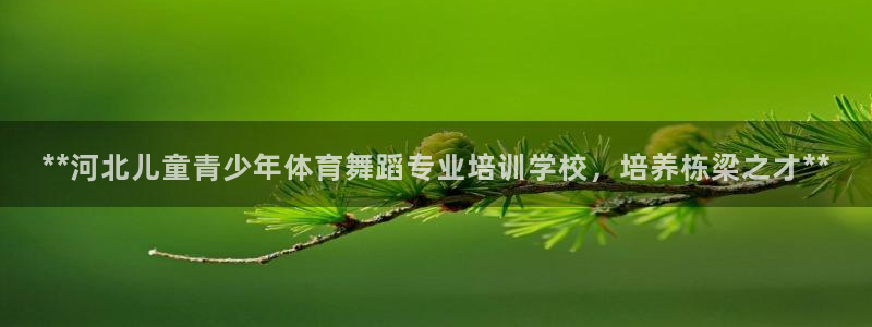 欧陆娱乐能赚钱吗：**河北儿童青少年体育舞蹈专业培训
