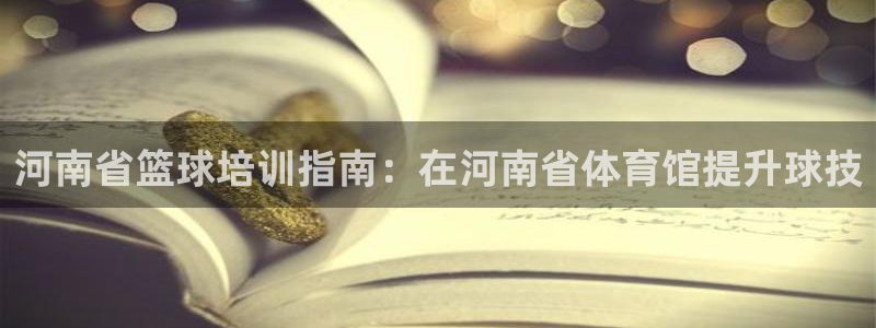 欧陆娱乐游戏特色：河南省篮球培训指南：在河南省体育馆