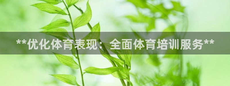 欧陆娱乐官网网址大全：**优化体育表现：全面体育培训