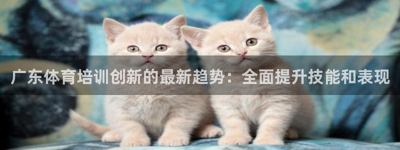 欧陆娱乐图片：广东体育培训创新的最新趋势：全面提升技