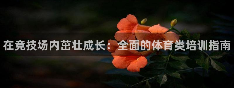 欧陆娱乐能赚钱吗